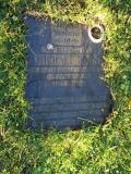 image of grave number 449536